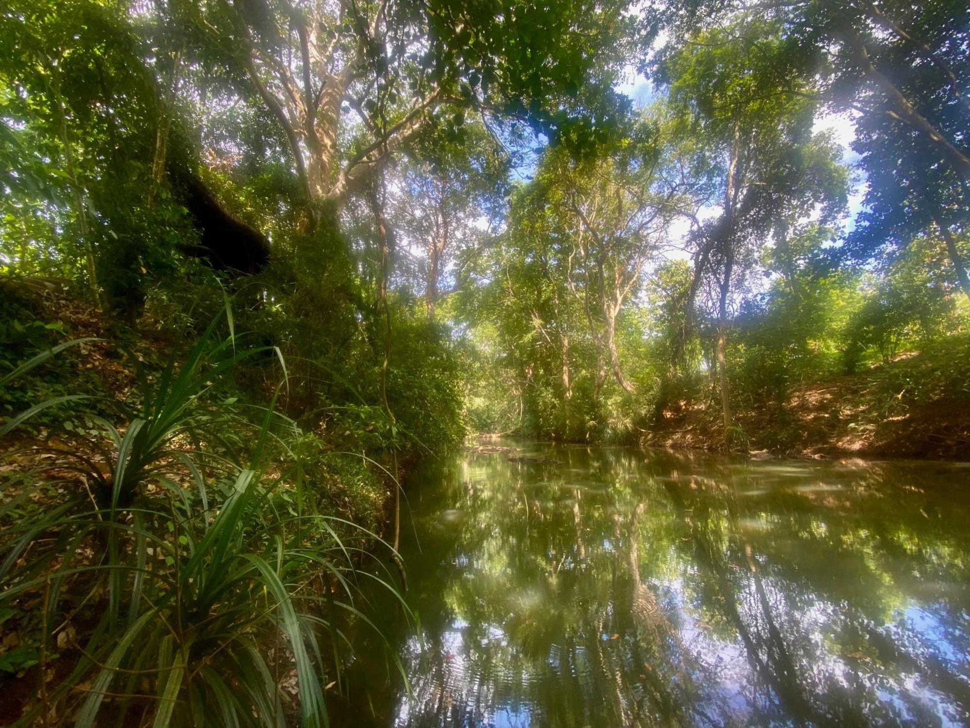 Chika'S Place River View Udawalawa اوداوالاوي المظهر الخارجي الصورة