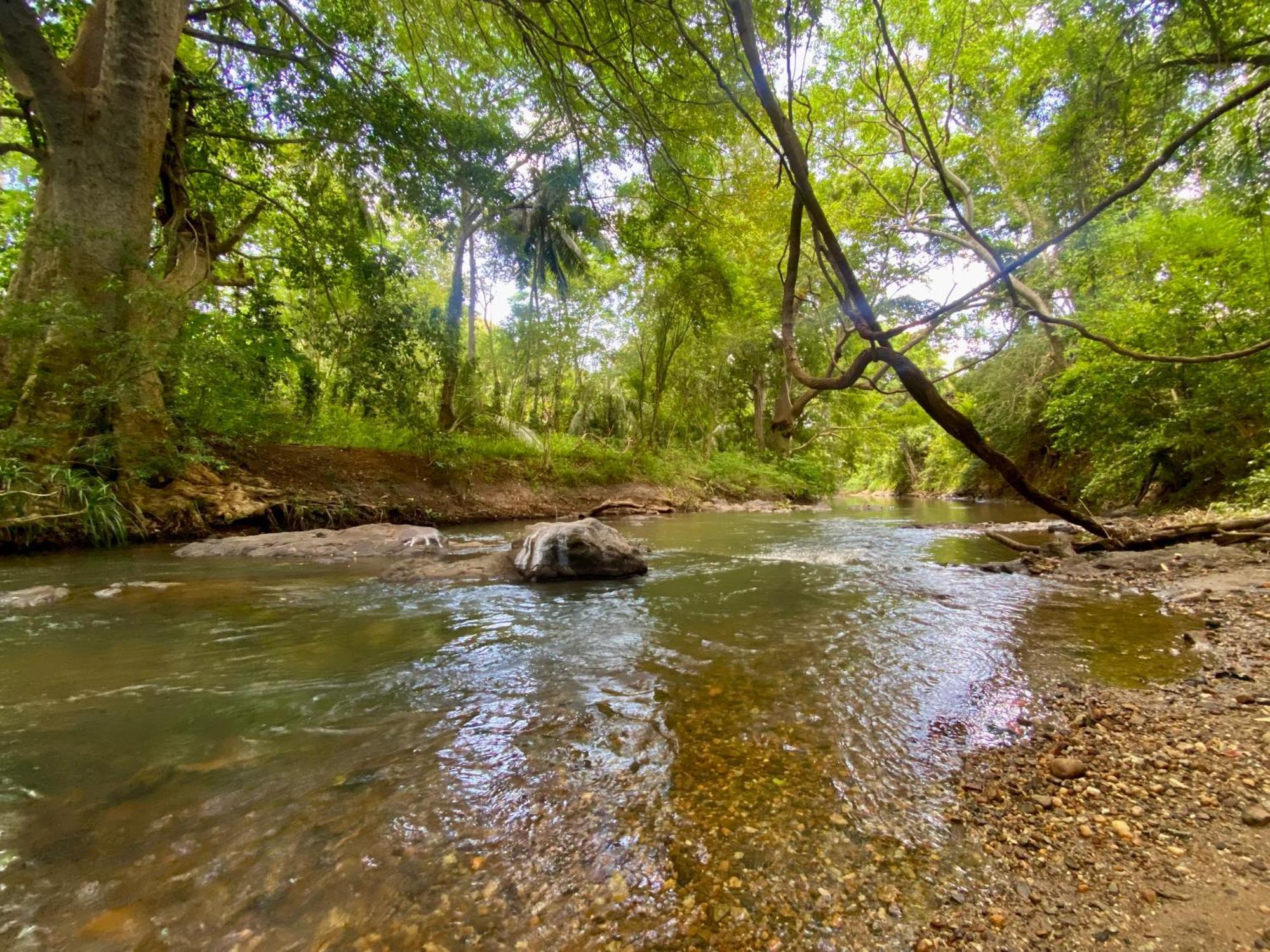Chika'S Place River View Udawalawa اوداوالاوي المظهر الخارجي الصورة